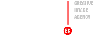 7DV DISEÑO WEB Y GRAFICO